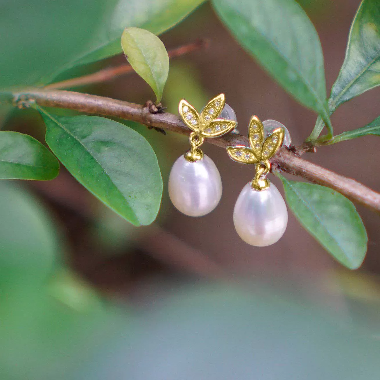 Elegant Freshwater Pearl Earrings WE00385