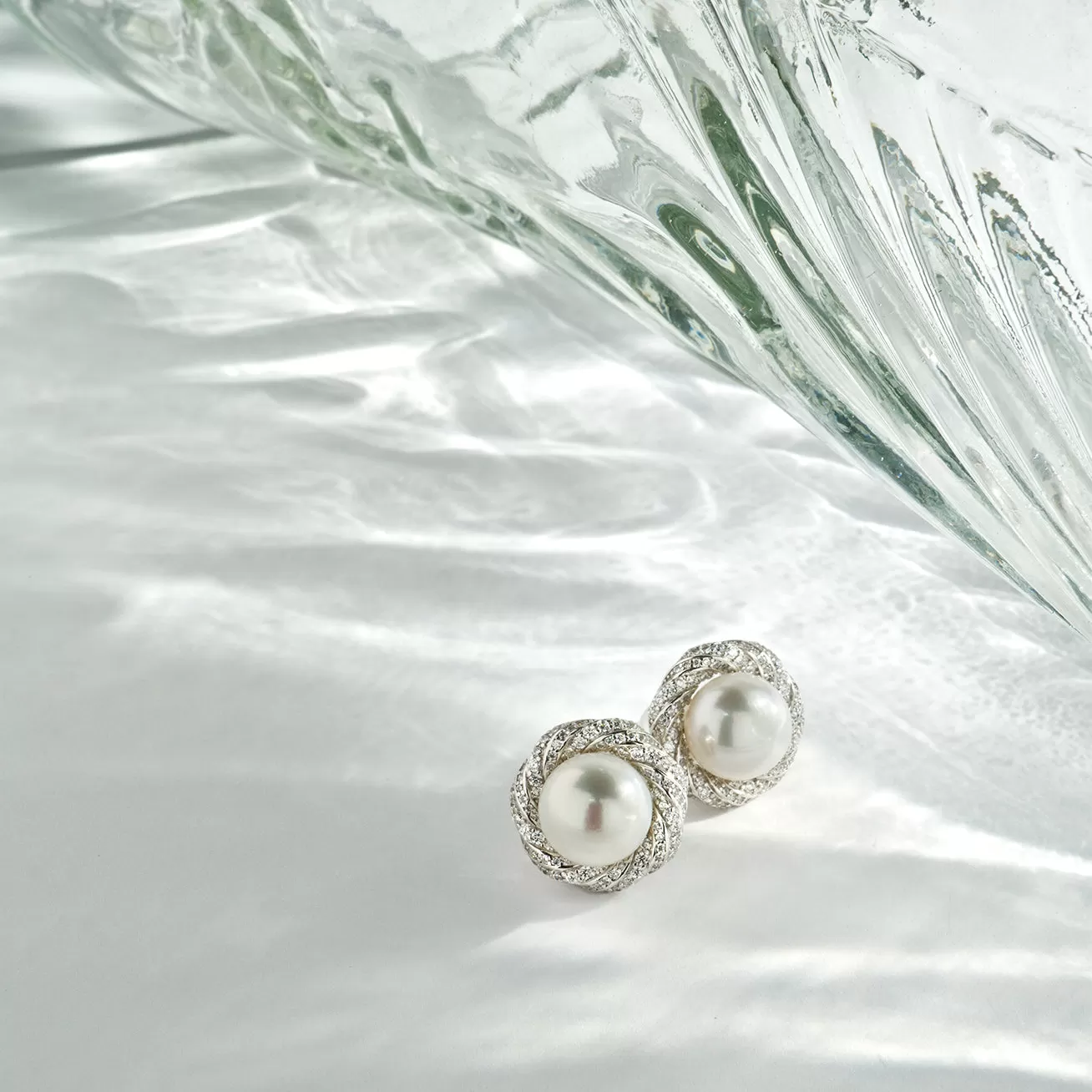 Elegant Freshwater Pearl Earrings WE00457