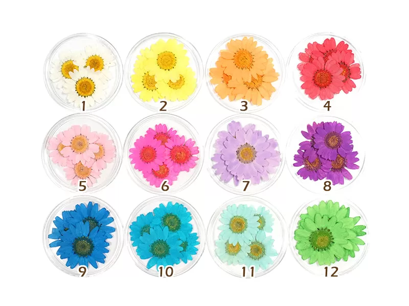 Large Daisy Flower Nail Art Decoration