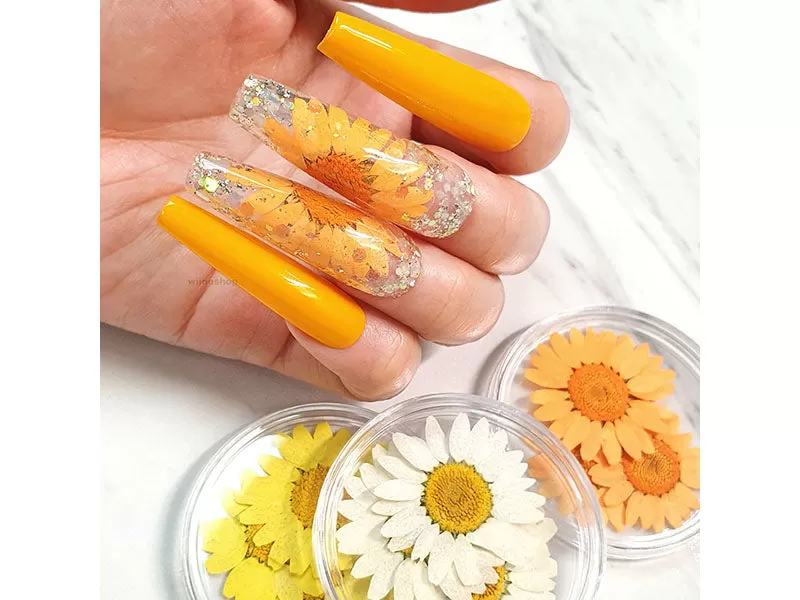 Large Daisy Flower Nail Art Decoration