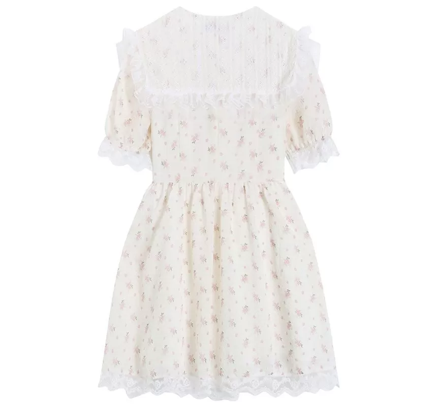 Short-Sleeve V-Neck Lace A-Line Dress aa18