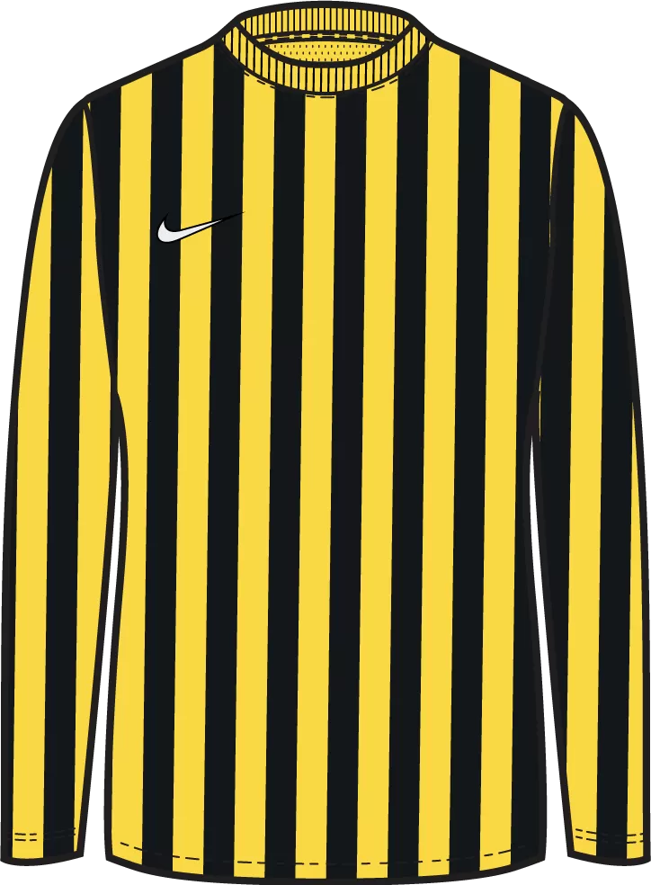 Striped Division IV Jersey L/S (Youth) 2021